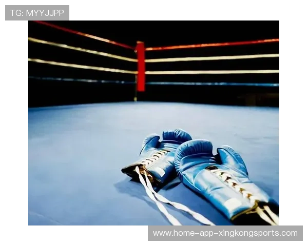 拳击 KO 一击命中成年度十佳瞬间